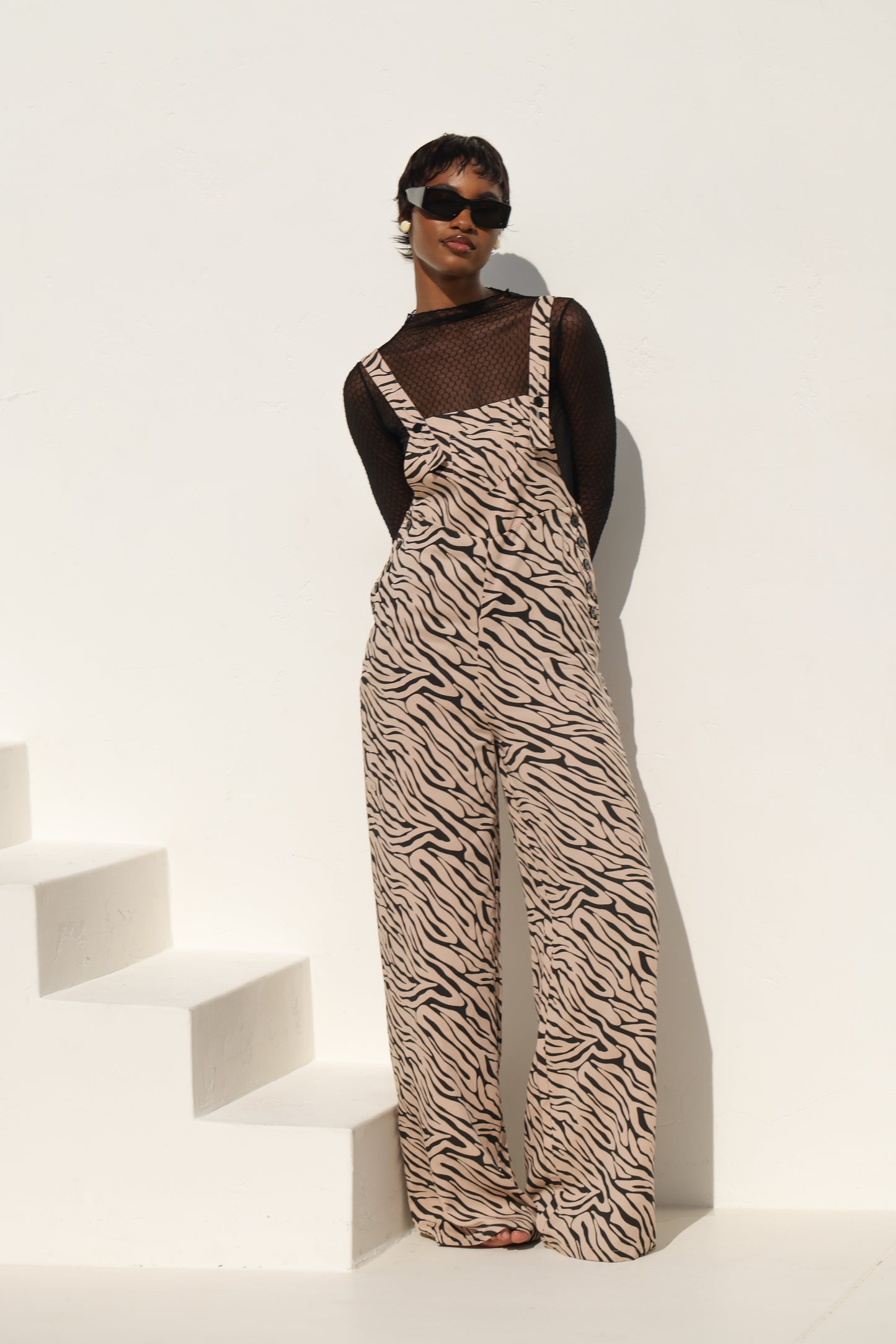 Aphelandra Overall